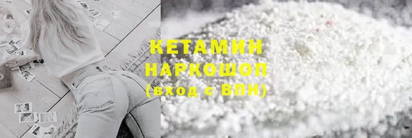 трава Корсаков