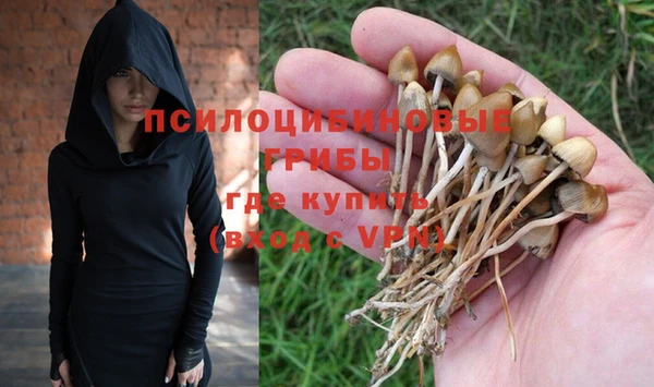 хмурый Кулебаки