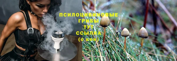 первитин Кукмор
