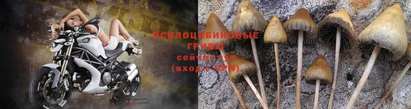 первитин Кукмор