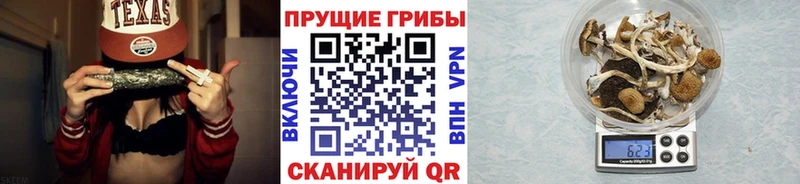Псилоцибиновые грибы Cubensis  Медвежьегорск 